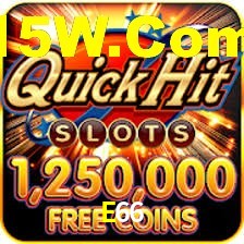 Premium Interface E66